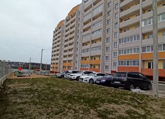 Продажа двухкомнатной квартиры, 70 м2, деревня Новосельцы, Юбилейная улица, 17
