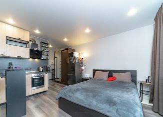 Продаю квартиру студию, 22.2 м2, Мурино, улица Шувалова, 46, ЖК Цвета радуги