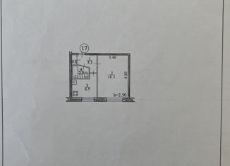 1-ком. квартира на продажу, 29.4 м2, Биробиджан, Парковая улица, 10
