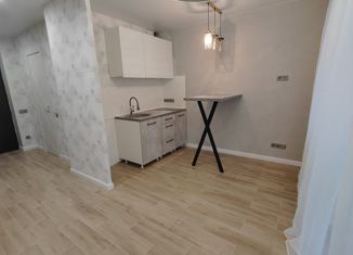 Квартира на продажу студия, 21 м2, Новоалтайск, Октябрьская улица, 18В