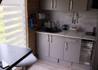 Дом на продажу, 42 м2, деревня Волгово, деревня Волгово, 30Б