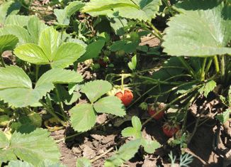 Дом на продажу, 14 м2, Оренбург, Ленинский район, Цветочная улица, 268