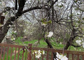 Продается участок, 4 сот., садовое товарищество Дружба, садовое товарищество Дружба, 363