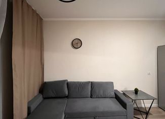 Квартира на продажу студия, 24 м2, городской посёлок Янино-1, ЖК Ясно-Янино, Ясная улица, 17к1