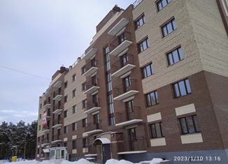 Продам 1-ком. квартиру, 38 м2, посёлок Красный Бор, Заволжская улица, 10