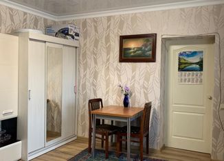 Дом на продажу, 24.1 м2, поселок Южный, Линейная улица