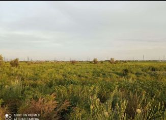 Продам участок, 15 сот., станица Кривянская, улица Дорурс, 1А