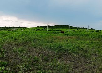 Продаю участок, 2500 сот., село Красный Яр, Советская улица, 4