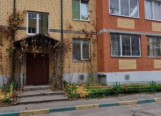 Продаю 2-ком. квартиру, 53.4 м2, деревня Марусино, Заречная улица, 11к7