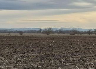 Продаю земельный участок, 51.36 сот., посёлок Северный, Школьная улица, 1