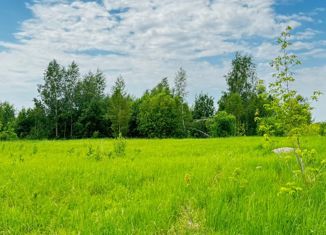 Продам участок, 12 сот., деревня Яраккасы, Лесная улица