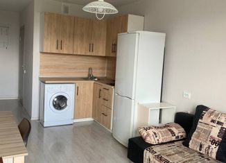 Сдача в аренду квартиры студии, 20 м2, Краснодар, улица Западный Обход, 38/1к2, ЖК Движение