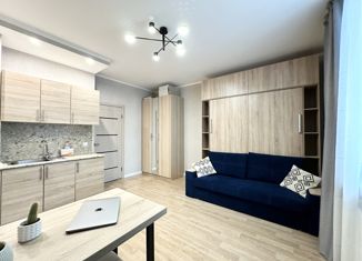 Квартира на продажу студия, 25 м2, деревня Кудрово, Центральная улица, 50к1