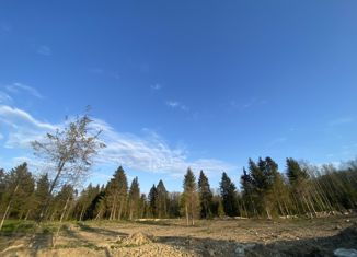 Продается участок, 21.4 сот., коттеджный поселок Малиновые Вечера, Хвойная улица