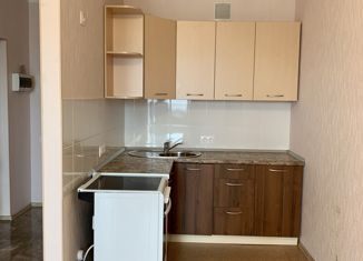 Продажа квартиры студии, 28 м2, Челябинск, улица Братьев Кашириных, 131А, жилой район Академ Риверсайд