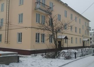 Продам однокомнатную квартиру, 31.2 м2, посёлок Барсуки, Шоссейная улица, 10