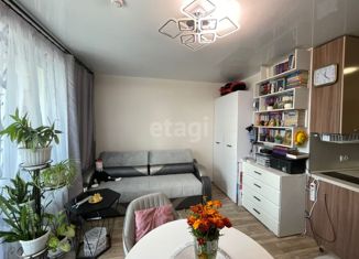 Продаю квартиру студию, 24 м2, село Чигири, улица Василенко, 3/5