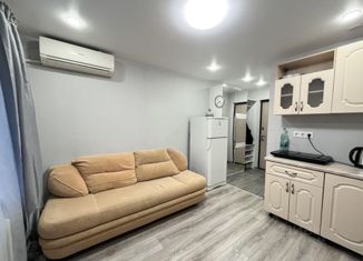 Продажа 1-комнатной квартиры, 15 м2, Щербинка, Рабочая улица, 3