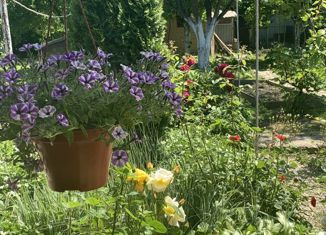 Продам дом, 40 м2, Хадыженск, улица Комарова, 28