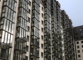 Квартира на продажу студия, 25 м2, городской посёлок Новоселье, Большая Балтийская улица, 10к1