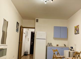 Квартира на продажу студия, 24 м2, Санкт-Петербург, Мебельная улица, 35к2, Мебельная улица