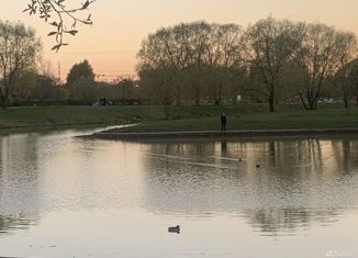 Двухкомнатная квартира на продажу, 44.7 м2, Санкт-Петербург, Индустриальный проспект, 20к1, Индустриальный проспект