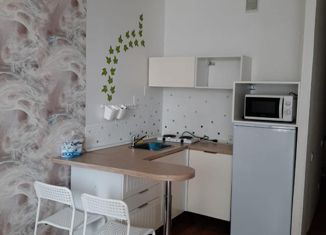 Продаю квартиру студию, 20.6 м2, Новосибирск, Первомайская улица, 230, Первомайская улица