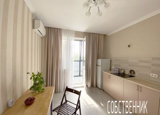 Продажа однокомнатной квартиры, 50 м2, Краснодар, Береговая улица, 2к2, Береговая улица