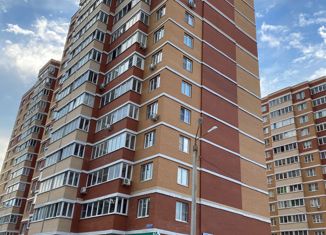 Продаю квартиру студию, 28 м2, село Осиновая Гора, Восточная улица, 1