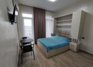 Продам квартиру студию, 22 м2, Краснодарский край, улица Даниила Смоляна, 78