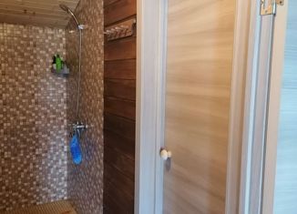 Продаю дом, 50 м2, ДНТ Лисенки, Центральная улица