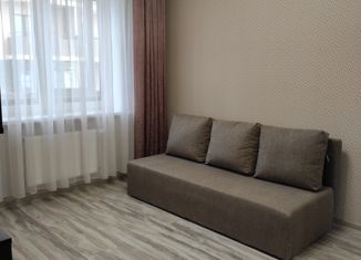 Сдается 1-комнатная квартира, 36 м2, Ростов-на-Дону, Доломановский переулок, 128, ЖК Центральный-2