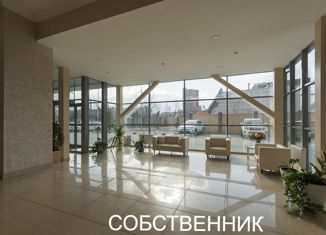 2-комнатная квартира на продажу, 49 м2, Челябинск, улица Орджоникидзе, 64, ЖК Парк Пушкинский
