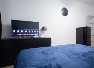 Продаю квартиру студию, 24.4 м2, Санкт-Петербург, 5-й Предпортовый проезд, 2, 5-й Предпортовый проезд