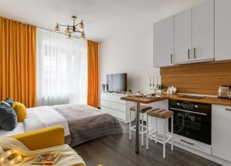 Продажа квартиры студии, 25 м2, Санкт-Петербург, Светлановский проспект, 8, Светлановский проспект