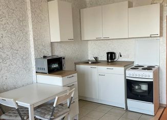 Квартира на продажу студия, 24 м2, Санкт-Петербург, Ленская улица, 19к1, Ленская улица