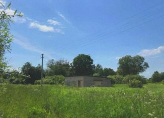 Дом на продажу, 187 м2, деревня Степурино, Центральная улица