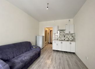 Продажа квартиры студии, 20 м2, Кудрово, Пражская улица, 4, ЖК Парклэнд