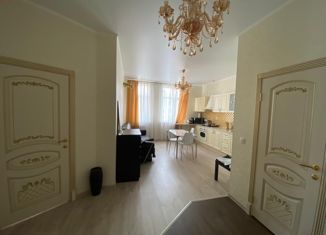 Сдается в аренду 1-комнатная квартира, 50 м2, Казань, улица Бехтерева, 9А