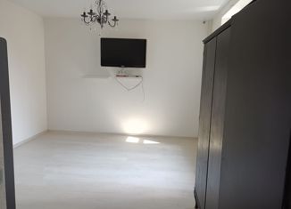 1-комнатная квартира на продажу, 33.7 м2, деревня Сабурово, Заречная улица, 3