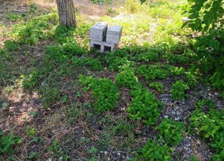 Продам земельный участок, 9 сот., село Майртуп, улица Х. Нурадилова