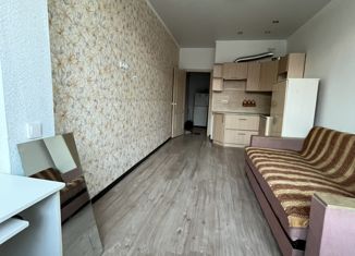 Квартира на продажу студия, 25.3 м2, посёлок Российский, Измаильская улица, 15