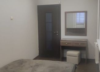 Продажа 3-ком. квартиры, 60 м2, Новосибирск, улица Челюскинцев, 17, метро Красный проспект