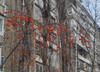 Продажа 2-ком. квартиры, 43 м2, Воронеж, улица Хользунова, 94, Северный жилой район