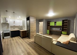 Сдаю в аренду 2-ком. квартиру, 45 м2, Свердловская область, Ленинградская улица, 30А