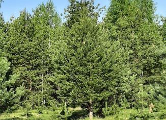 Продам участок, 18.5 сот., деревня Полково