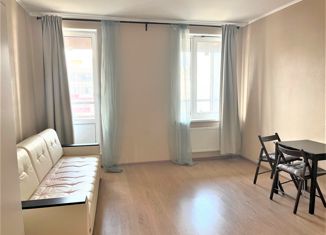 Продам квартиру студию, 24.3 м2, Кудрово, Английская улица, 1, ЖК Лондон