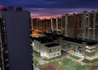 Двухкомнатная квартира на продажу, 44.7 м2, Мурино, Воронцовский бульвар, 14к3, ЖК Краски Лета