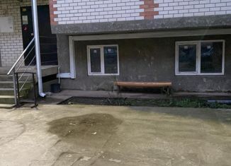 1-ком. квартира на продажу, 24 м2, посёлок Российский, Измаильская улица, 15