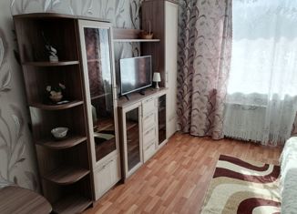 Сдаю однокомнатную квартиру, 30 м2, Новосибирск, Чемская улица, 4, Чемская улица